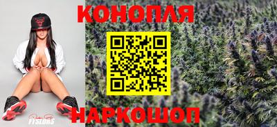 гидропоника Донецк