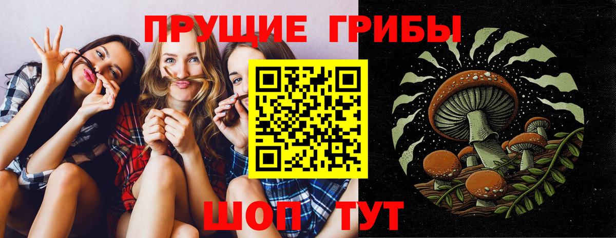 Галлюциногенные грибы GOLDEN TEACHER Мценск